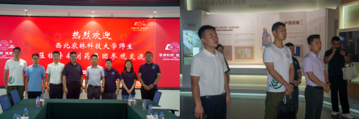 山东临沂人才政策_西北农林科技大学就业实践探访_西北农林科技大学