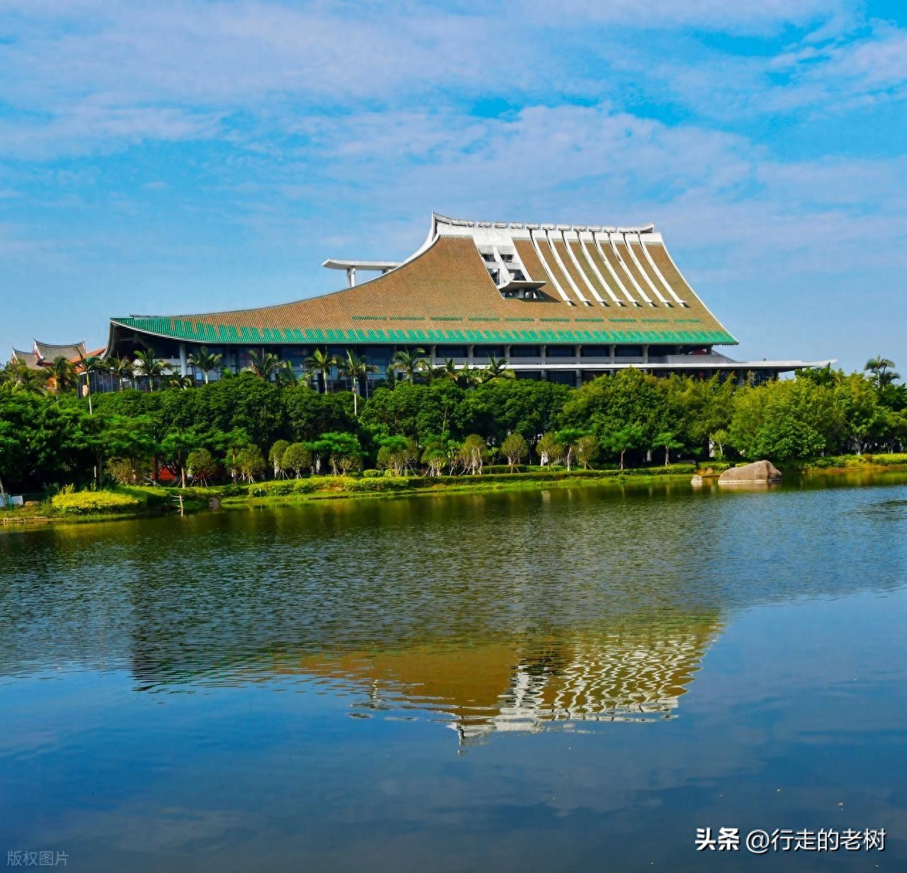 厦门大学就业数据_厦门大学毕业_厦门大学毕业生去向报告