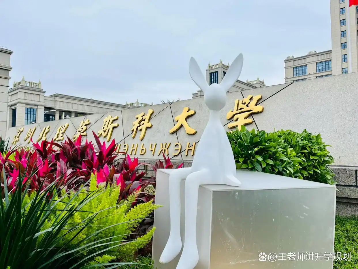 深北莫中外合作大学_深圳北理莫斯科大学_深圳北理莫斯科大学