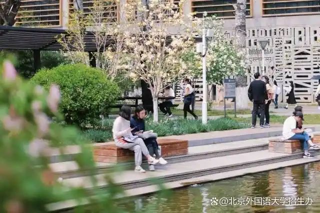 北京外国语大学2024招生计划_北京外国语大学学生_北京外国语大学历年录取分数线