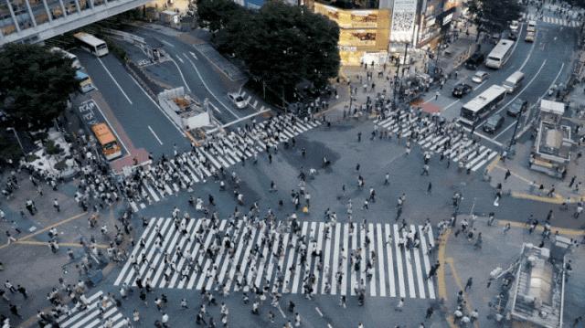 新闻传播学就业_高考志愿填报_高报师行业乱象