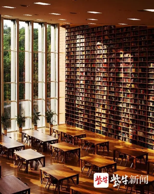 香港中文大学深圳_香港中文大学（深圳）英语专业介绍_香港中文大学（深圳）本科招生专业