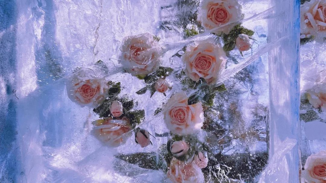 奶茶店创业失败经验_独立女性创业故事分享_创业失败一无所有