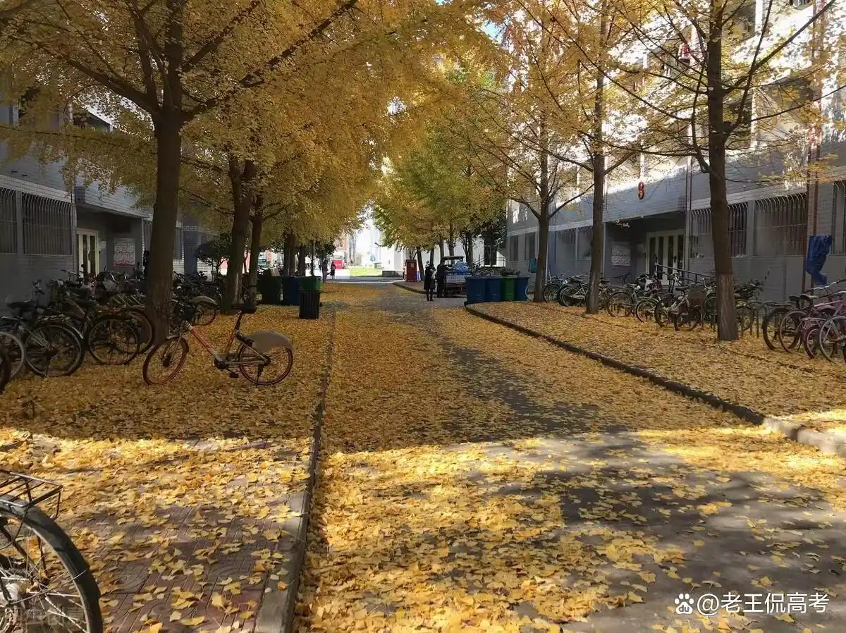 西北农林科技大学与南京农业大学实力对比_西北农林科技大学_西北农林科技大学学科评估分析