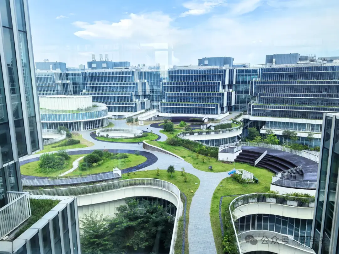 港中文深圳_港中文深圳 vs 港科大广州_中外合办院校对比