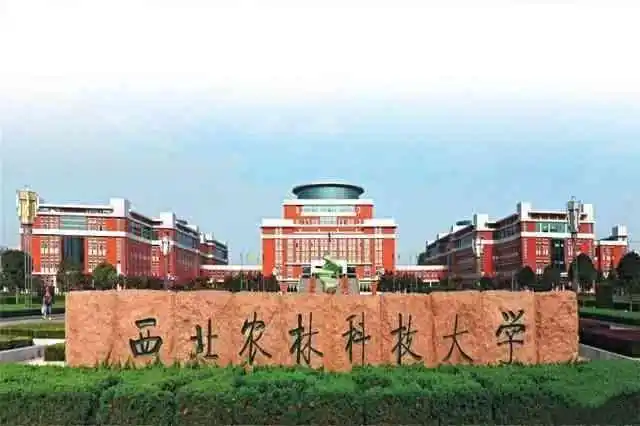 西北农林科技大学211大学_西北农林科技大学_西北农林科技大学985高校