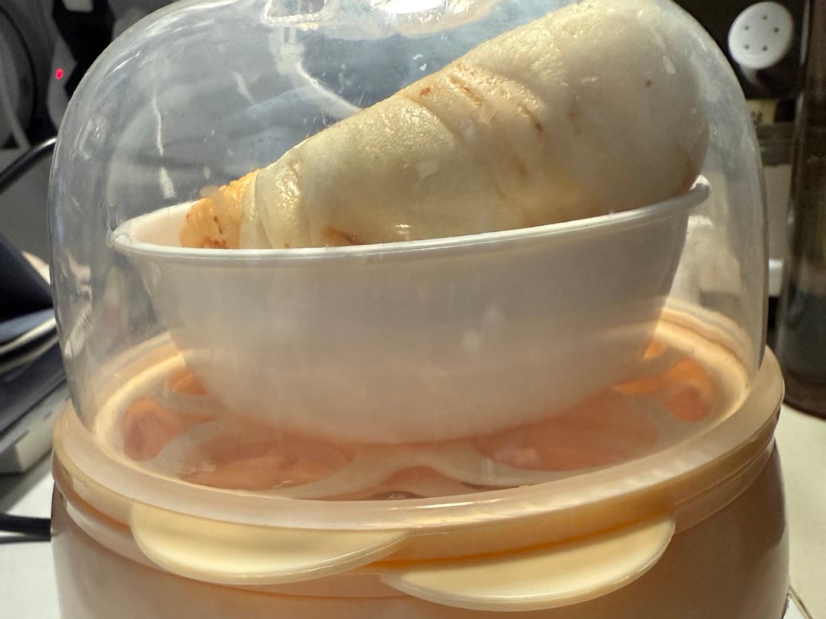 早餐机煮蛋器价格_蒸蛋器用法 轻松搞定营养早餐 蒸蛋器正餐做法