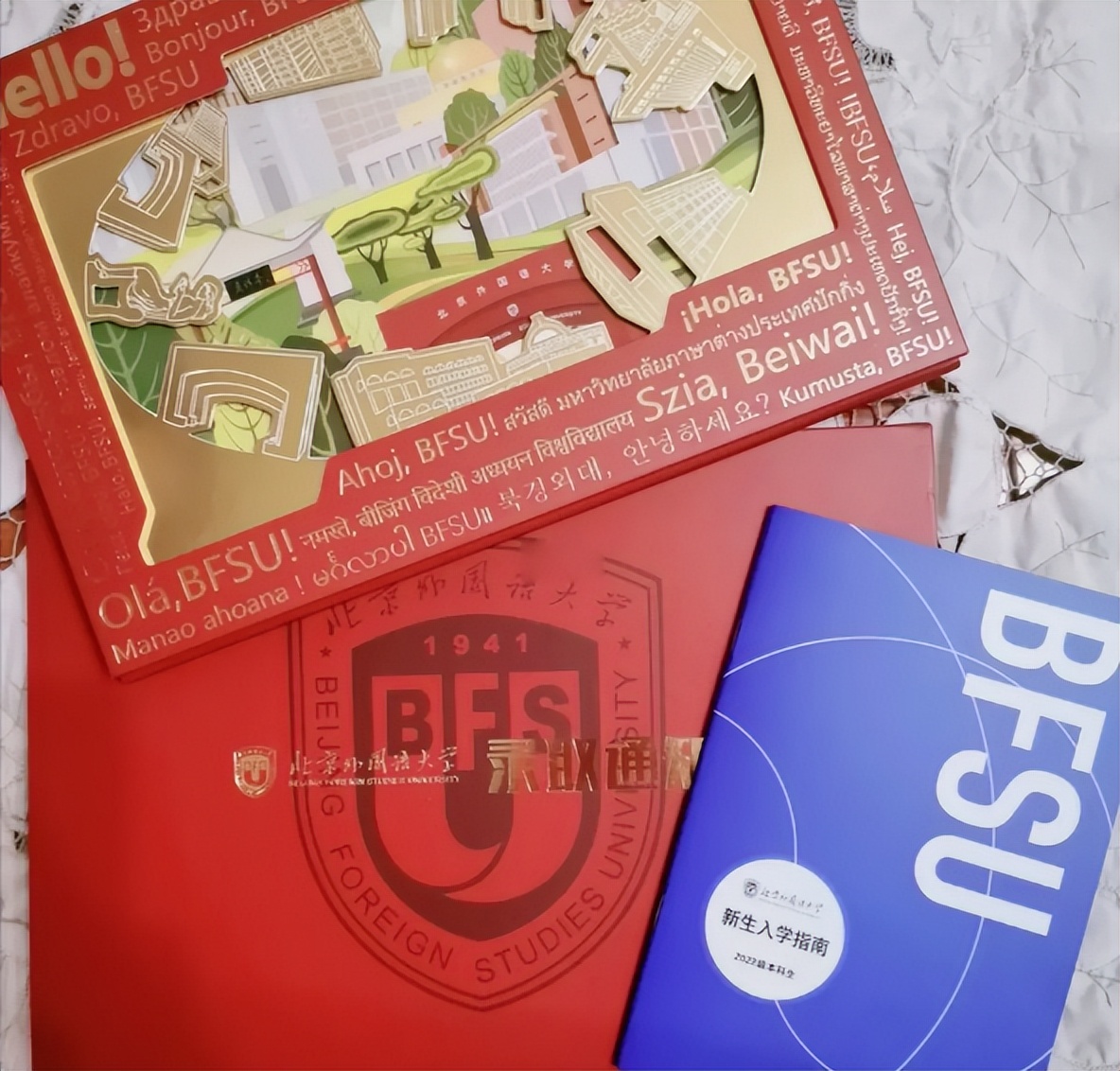 北京外国语大学跨校联合培养项目_双一流高校外语专业联培项目_北京外国语大学学生