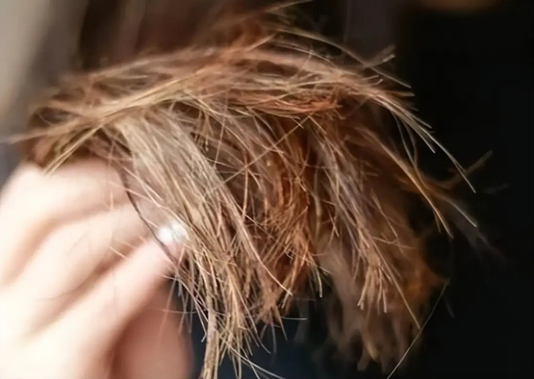 卷发器选购指南_卷发器十大品牌_电卷梳和卷发棒哪个好