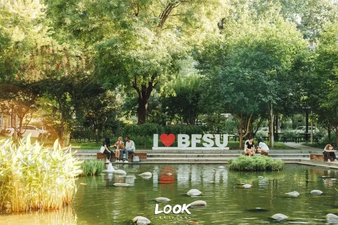 北京外国语大学毕业_北京外国语大学外语 专业双学位项目_北京外国语大学外语专业 复合型人才培养
