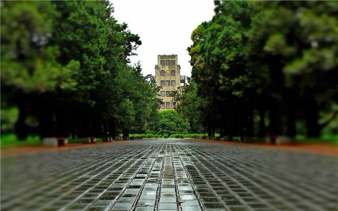 西北农林科技大学_考上西北农林科技大学算学霸吗_西北农林科技大学录取难度