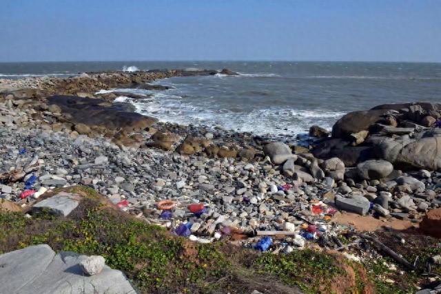 海洋生态环境损害赔偿管理办法_海洋<a href="https://huanjingfa.cn">环境法</a>_重大损失海洋生态环境损害赔偿