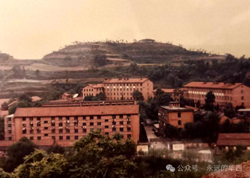 北京外国语学院毕业后的工作_毕业于北京外国语学院_北京外国语学院毕业可以去哪里