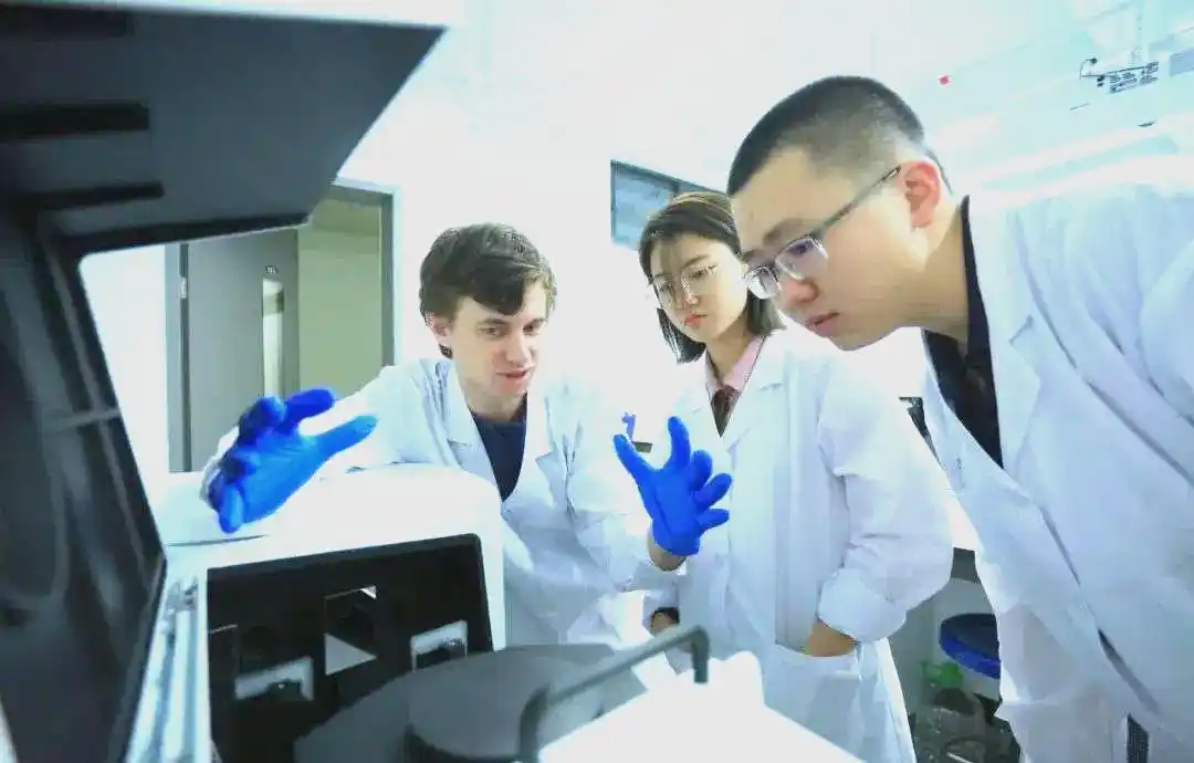 深圳北理莫斯科大学师资力量_深圳北理莫斯科大学概况_深圳北理莫斯科大学