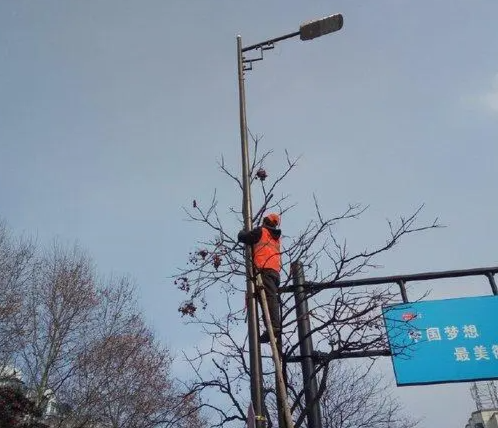 挂路灯安装_什么是大路灯_路灯照明效果