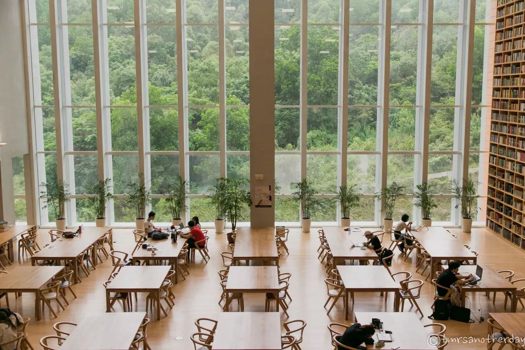 香港中文大学(深圳)研究生专业设置_香港中文大学(深圳)研究生申请条件_香港中文大学深圳