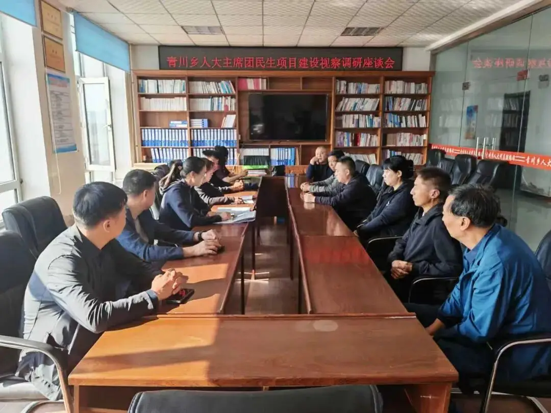 大路灯安装_乡村基础设施建设_路灯照明检查