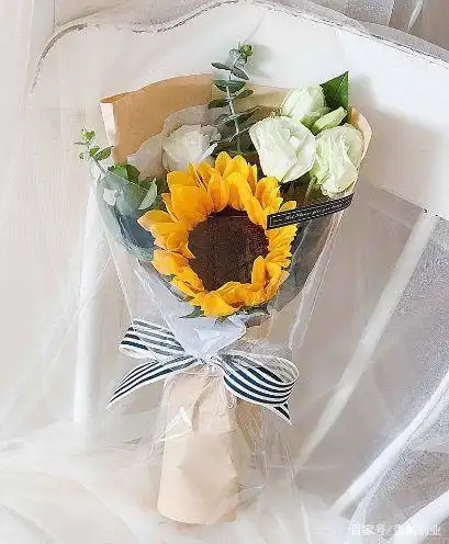 创业失败原因_白领创业失败_创业者自嗨问题