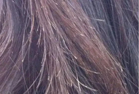 直卷发棒品牌推荐_日本销量第一卷发棒_卷发棒选购技巧