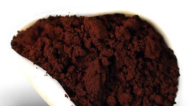 破壁率高的灵芝孢子粉_灵芝孢子粉破壁技术_灵芝孢子粉破壁机