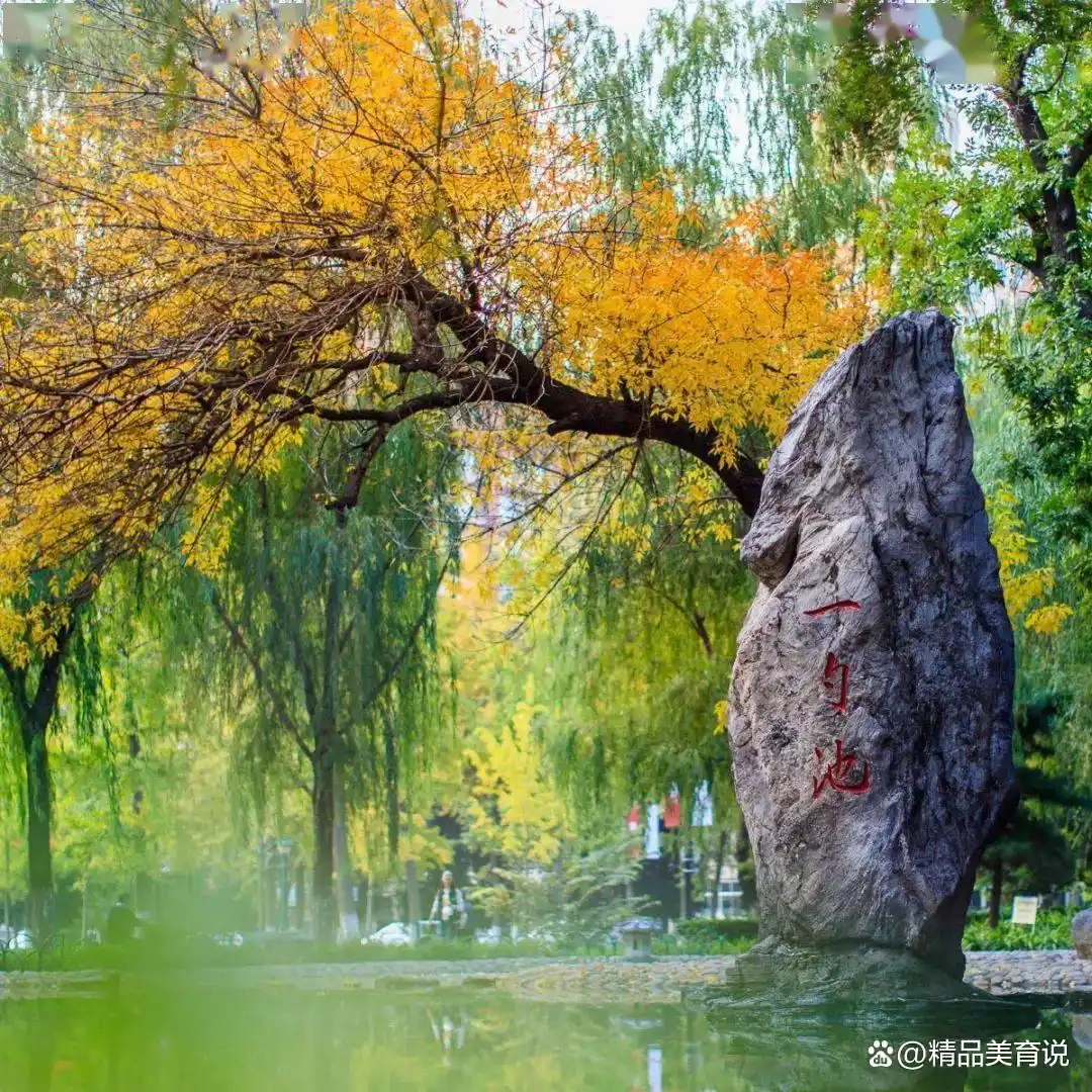 中国人民大学两院院士增选_中国人民大学教授_中国人民大学学科实力提升