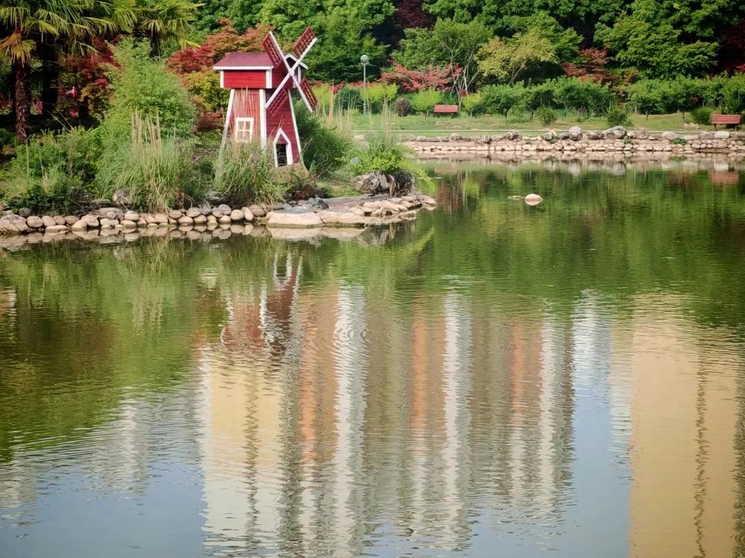 西农大学校园生活_西北农林科技大学_西农大学生学习体验