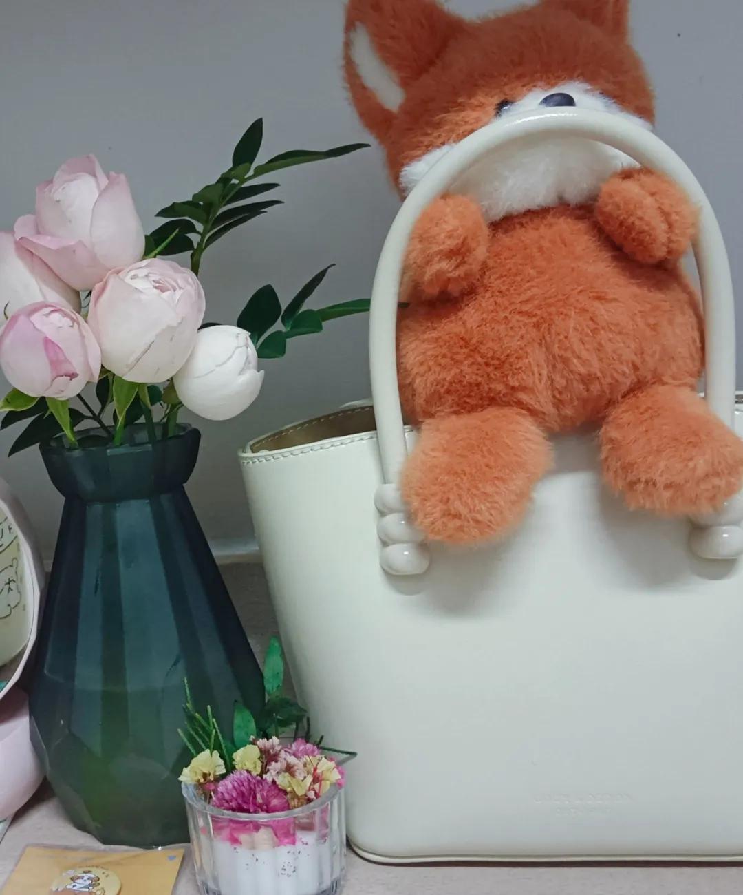 西农大学生学习体验_西农大学校园生活_西北农林科技大学