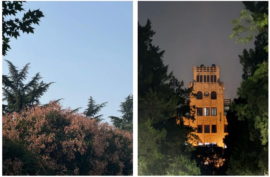 西农大学校园生活_西农大学生学习体验_西北农林科技大学