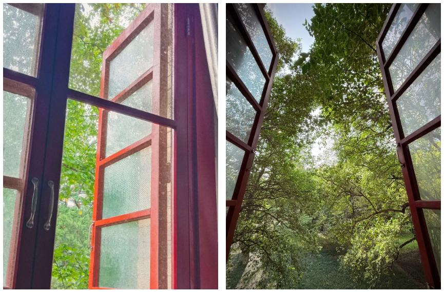 西农大学生学习体验_西北农林科技大学_西农大学校园生活