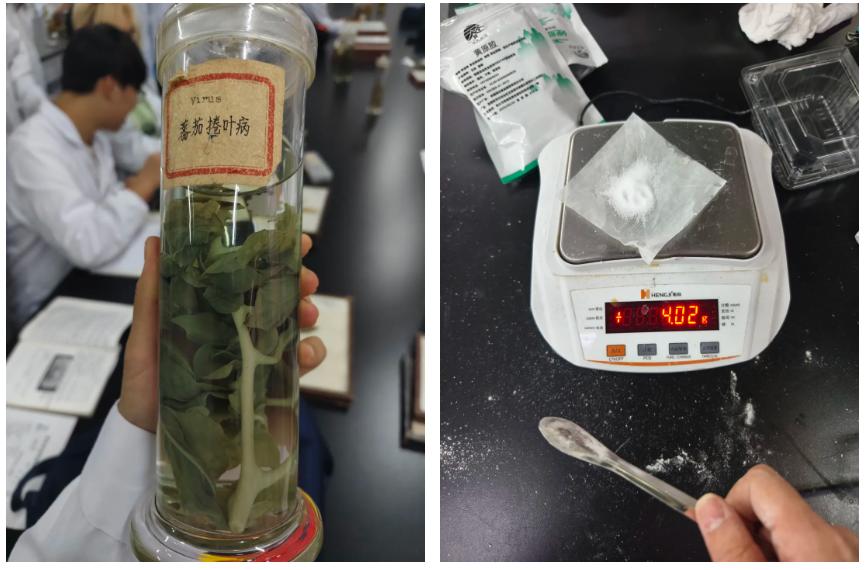 西农大学校园生活_西北农林科技大学_西农大学生学习体验