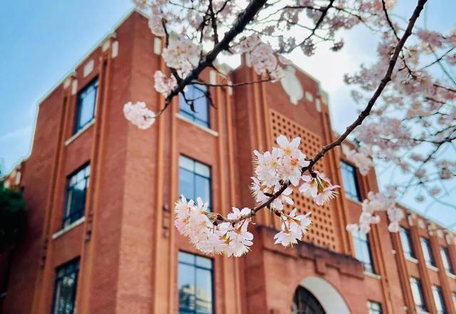 毕业于北京师范大学_北京师范大学 华东师范大学 华中师范大学