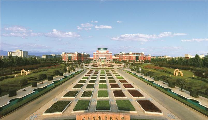 中国农业大学与西北农林科技大学特色学科_西北农林科技大学_中国农业大学与西北农林科技大学比较