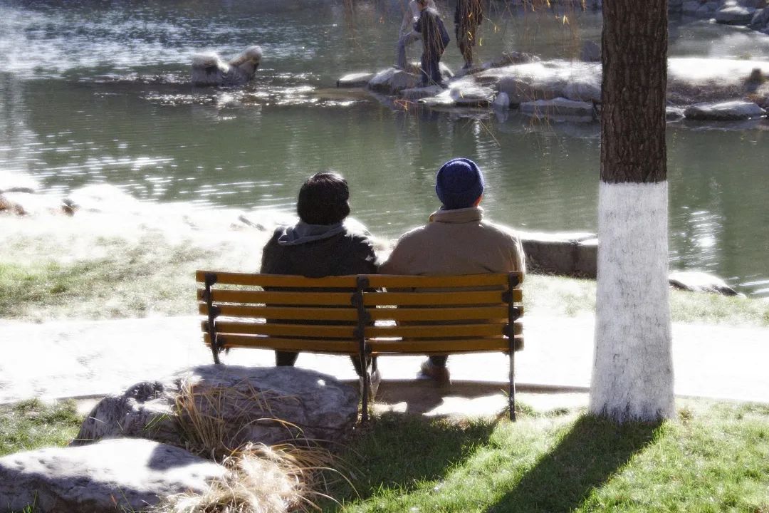 乐黛云 传略 事迹_比较文学与中国现代文学 乐黛云