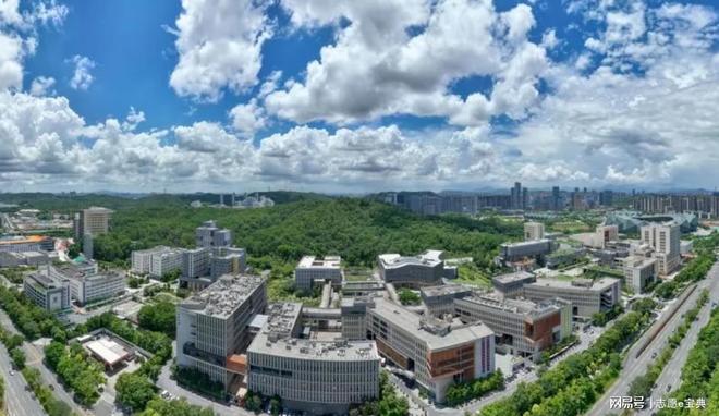 香港中文大学深圳校区_中外合作办学 香港中文大学(深圳) 粤港澳大湾区