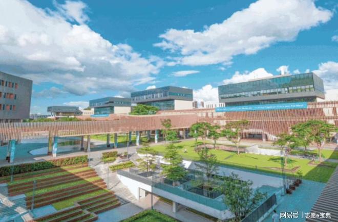 中外合作办学 香港中文大学(深圳) 粤港澳大湾区_香港中文大学深圳校区