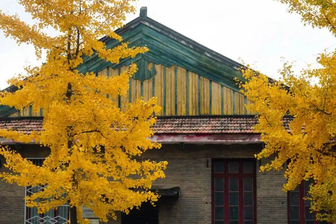 西北农林科技大学农学学科_西北农林科技大学_西农农学学科世界一流排名