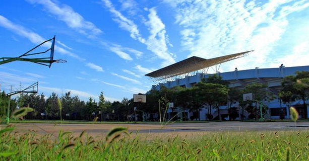 西北农林科技大学_西北农林科技大学录取分数线_陕西省985高校录取情况