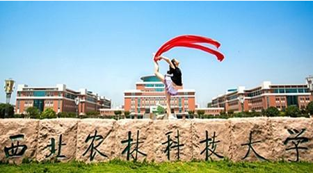 陕西省985高校录取情况_西北农林科技大学录取分数线_西北农林科技大学