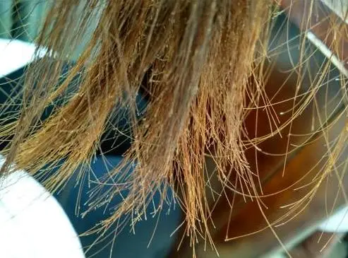 劣质卷发棒伤发风险_卷发棒卷发对头发有害吗_卷发棒和烫发哪个伤头发