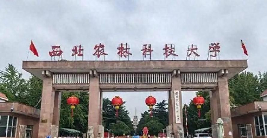 西北农林科技大学_西北农林科技大学_杨凌农业示范区