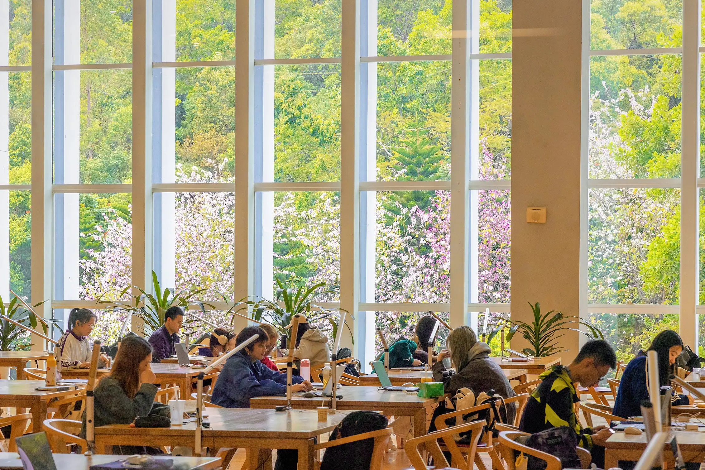 中外合作办学项目就业率_深圳香港中文大学_香港中文大学（深圳）认可度