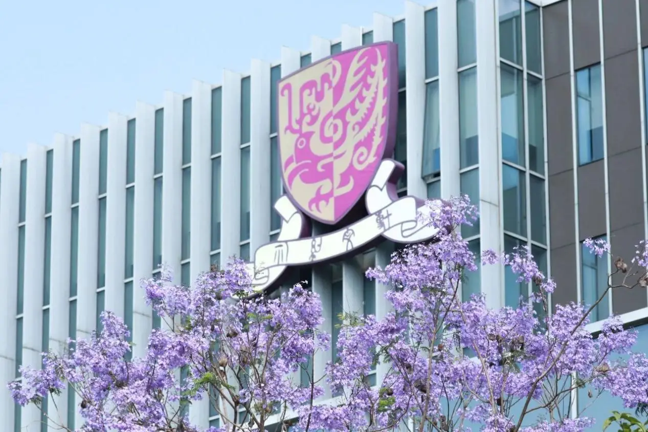 深圳香港中文大学_中外合作办学项目就业率_香港中文大学（深圳）认可度