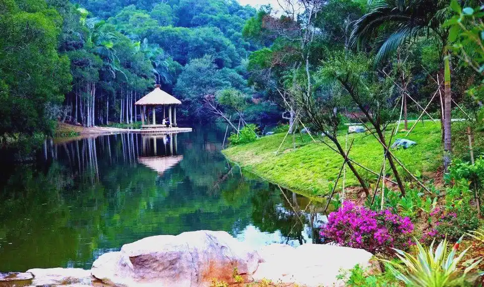 厦门大学毕业_厦门大学概况与校园环境_厦门大学本科生就业率与升学情况