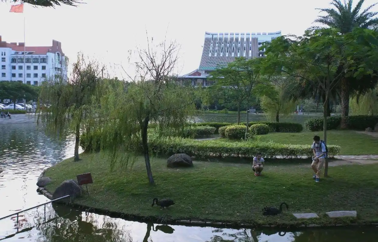 厦门大学本科生就业率与升学情况_厦门大学概况与校园环境_厦门大学毕业