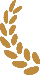 香港中文大学（深圳）三位一体招生_深圳香港中文大学_香港中文大学（深圳）浙江招生计划