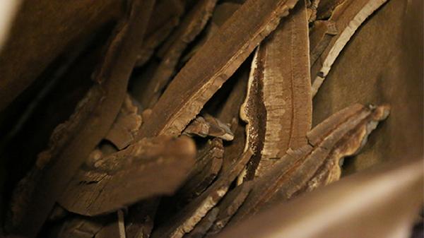 破壁机可以干磨吗_破壁机打碎干灵芝效果_灵芝破壁粉溶解吸收率提升