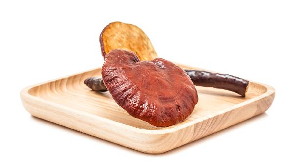 破壁机打碎干灵芝效果_破壁机可以干磨吗_灵芝破壁粉溶解吸收率提升