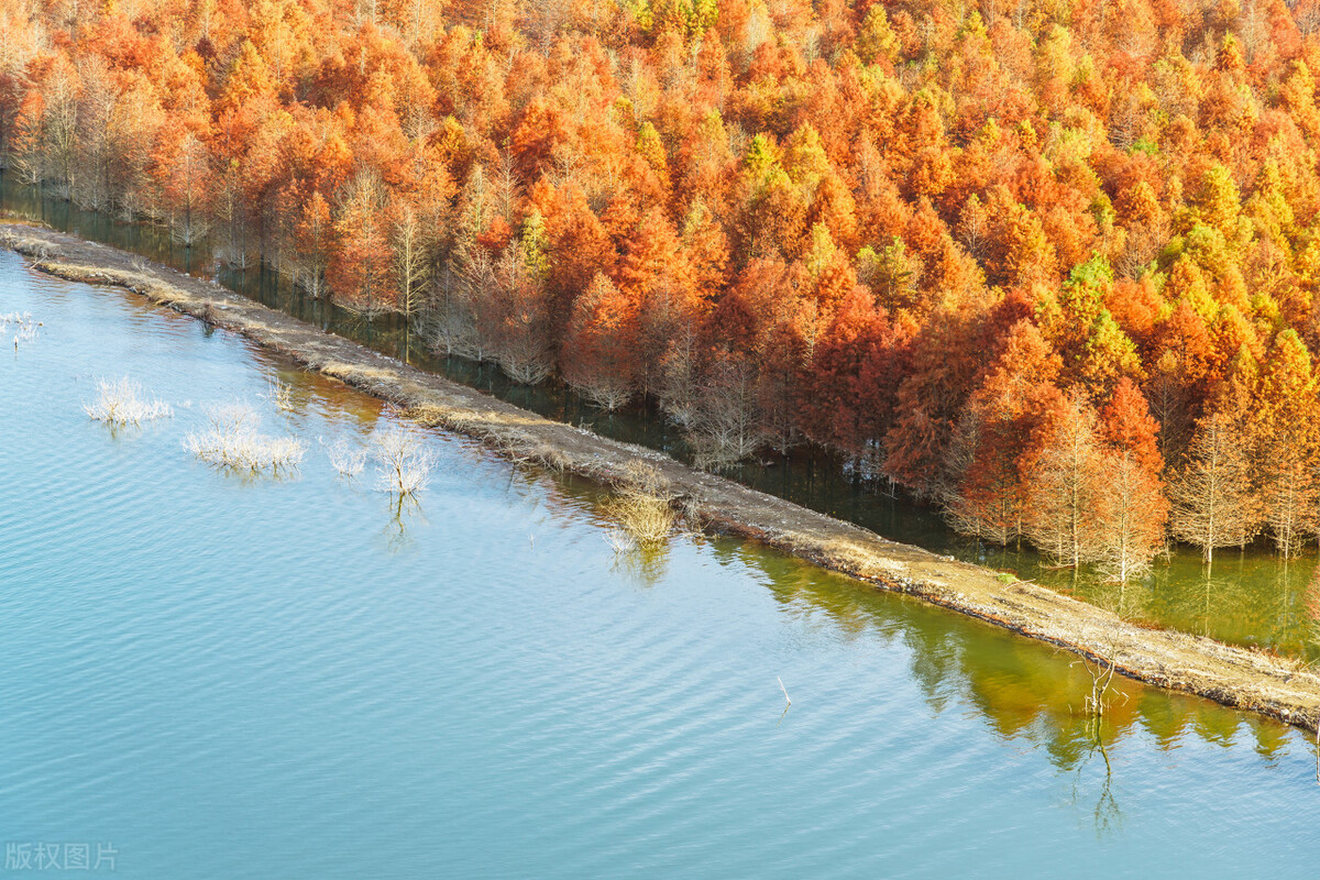文言文翻译成现代汉语在线翻译器_文言文删除虚词_文言文增补省略成分