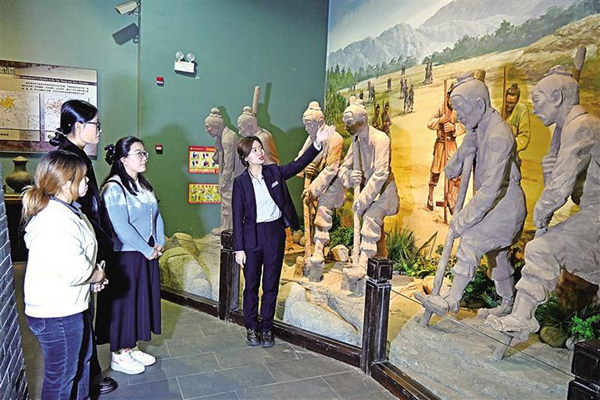 中国农业历史博物馆小麦展厅_西北农林科技大学_西北农林科技大学小麦品种