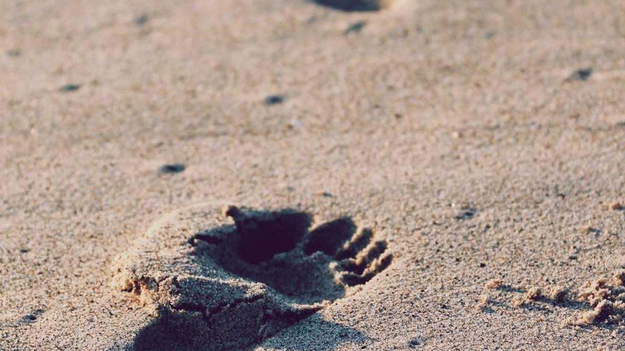 北京外国语大学双一流大学_北京外国语大学211大学_毕业于北京外国语大学